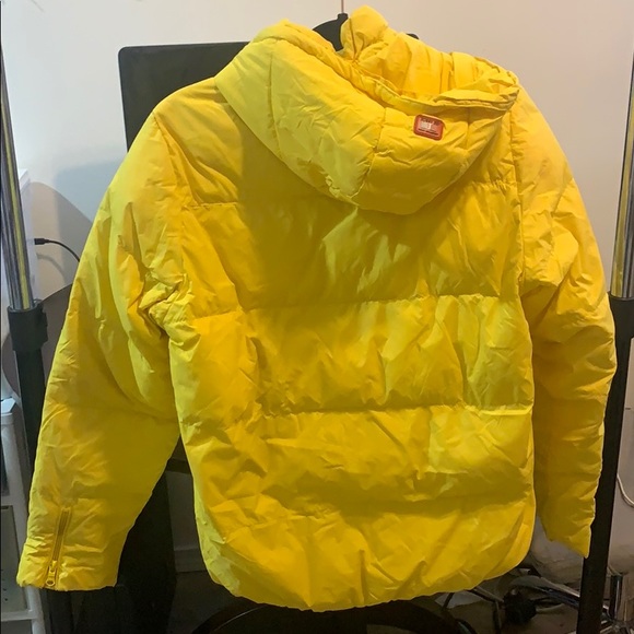 Yellow jacket - Picture 4 of 4